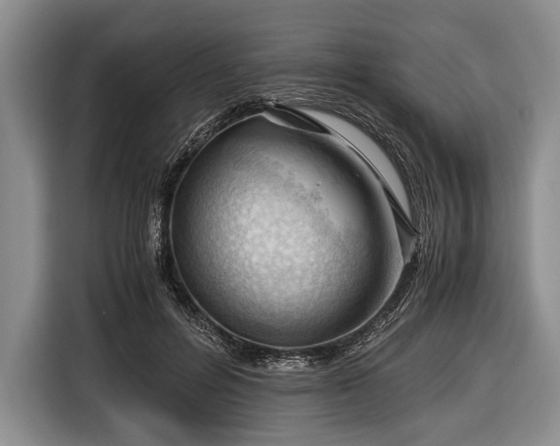 X0000116640600200912211005