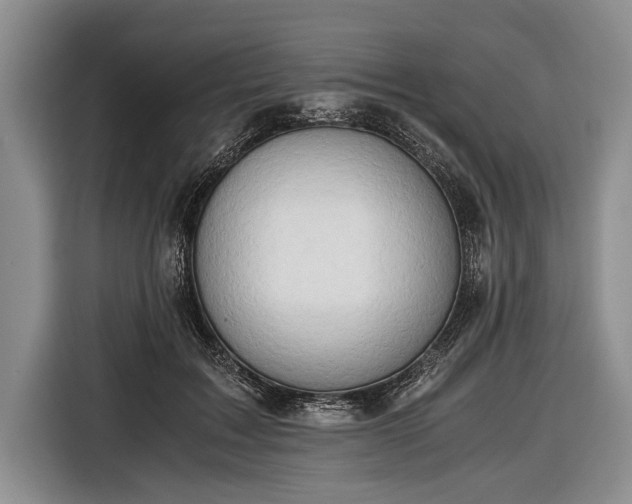 X0000116640603200912211005