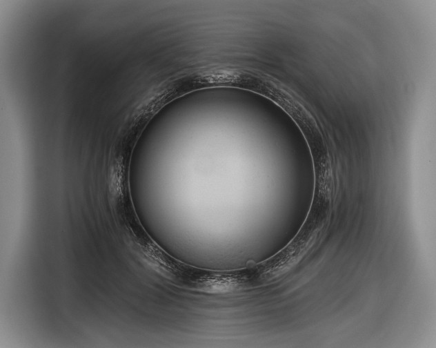 X0000116640604200912211005