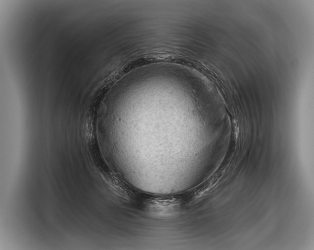 X0000116640606200912211005