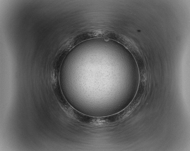 X0000116640607200912211005