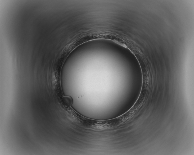 X0000116640608200912211005