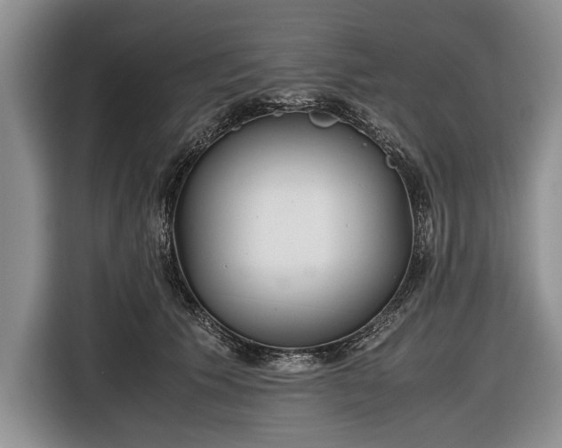 X0000116640609200912211005