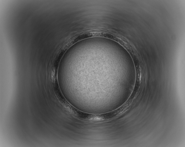 X0000116640610200912211004