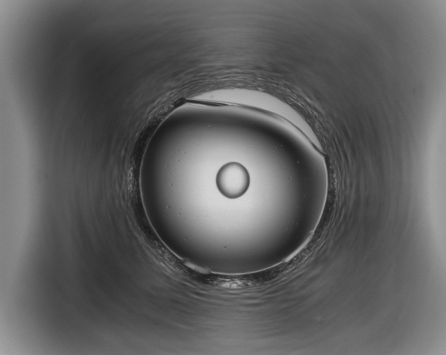 X0000116640611200912211004