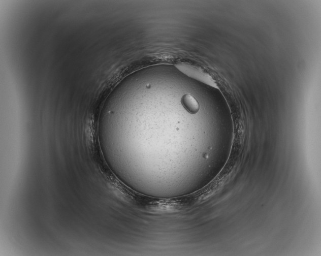 X0000116640612200912211004