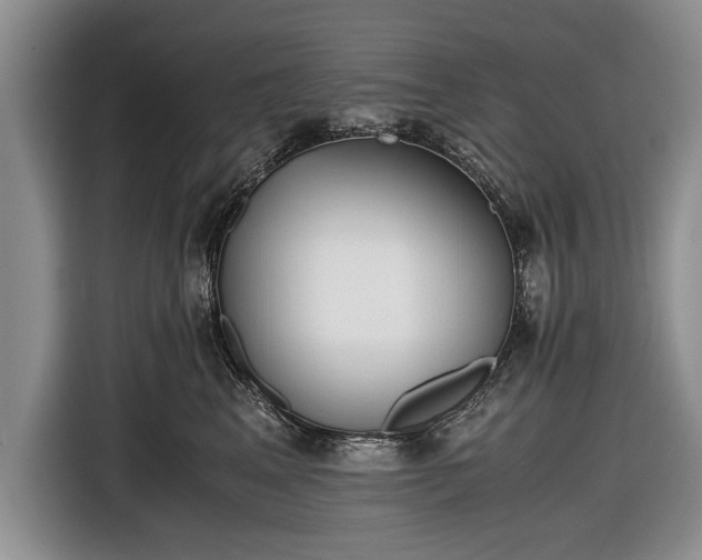 X0000116640617200912211004