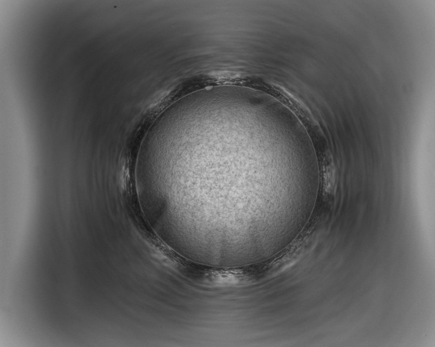 X0000116640618200912211004