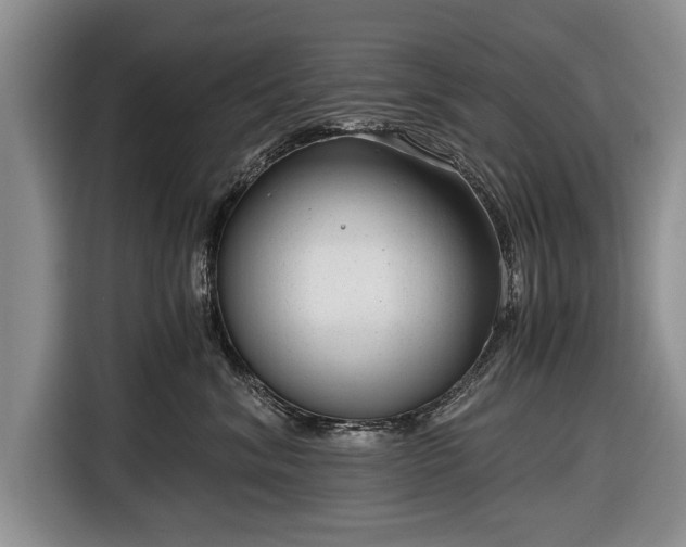 X0000116640620200912211004