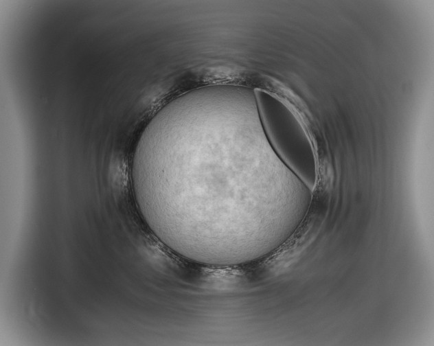 X0000116640621200912211004