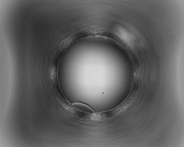 X0000116640623200912211004