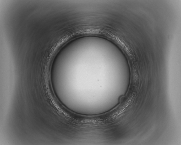 X0000116640625200912211003