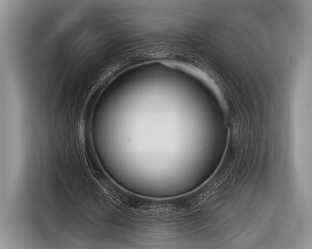 X0000116640626200912211003