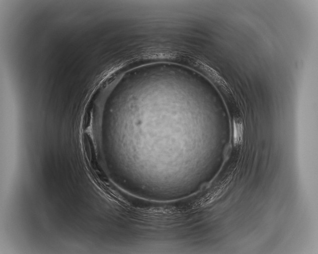 X0000116640627200912211003