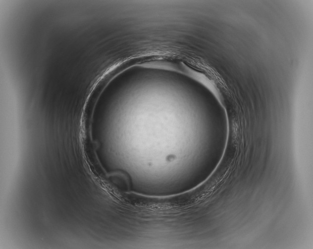 X0000116640628200912211003