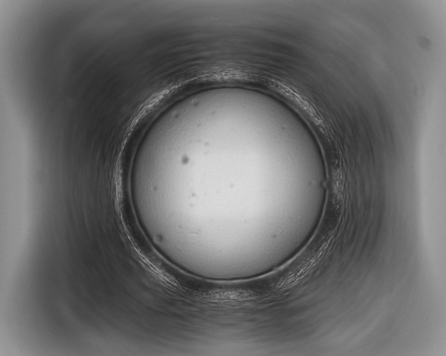 X0000116640629200912211004