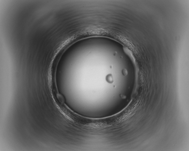 X0000116640630200912211004