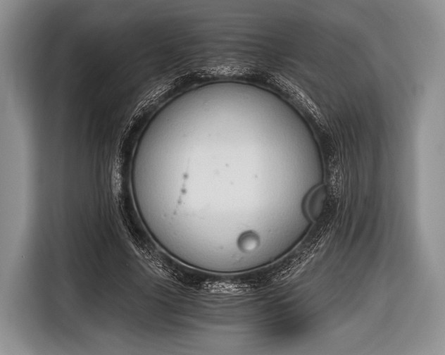 X0000116640635200912211004