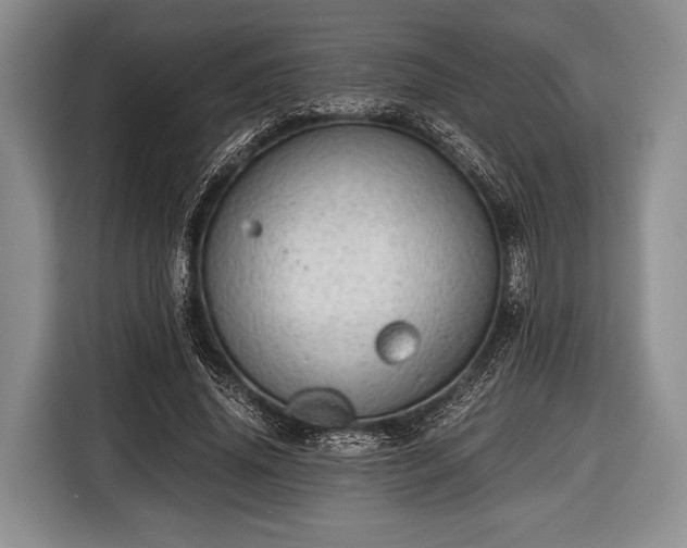 X0000116640636200912211004