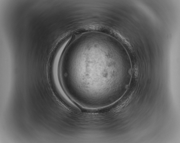 X0000116640637200912211004