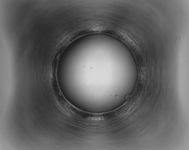 X0000116640639200912211004