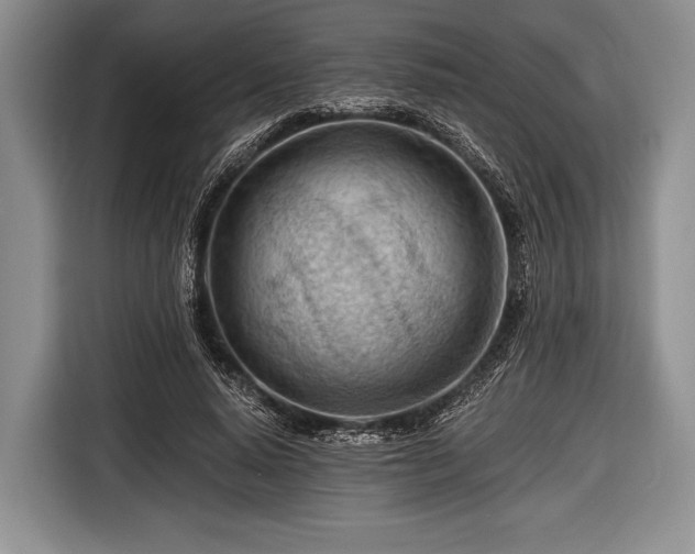 X0000116640640200912211004