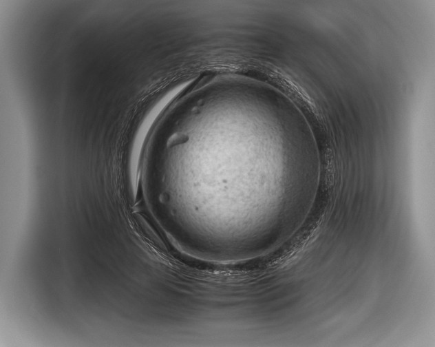 X0000116640641200912211004