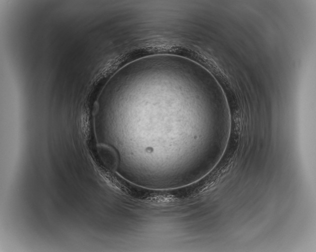 X0000116640642200912211004