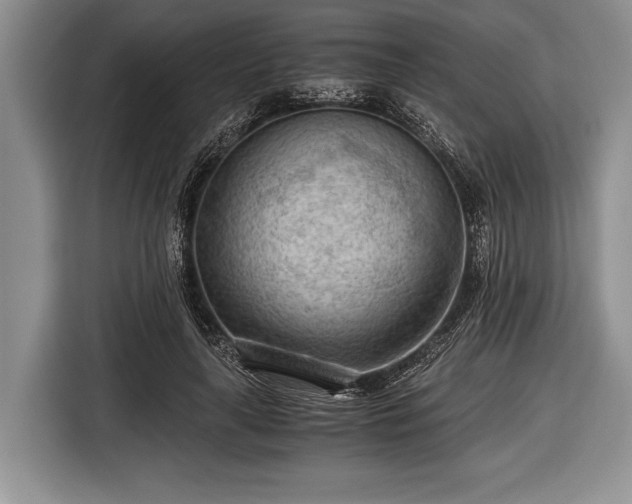 X0000116640643200912211004