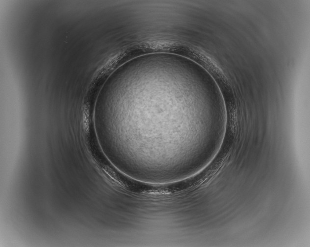 X0000116640644200912211004