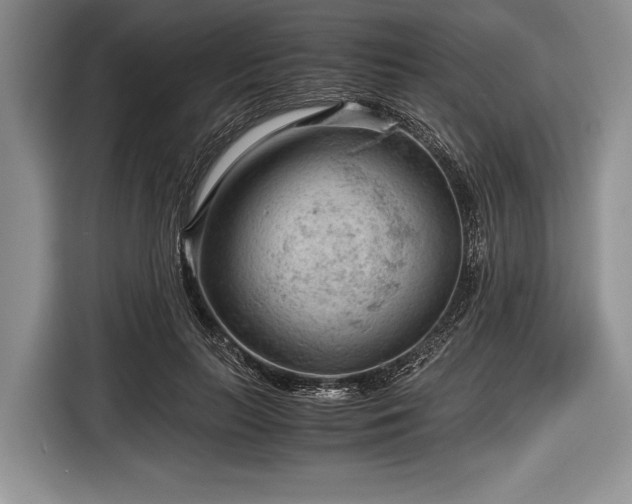 X0000116640647200912211004