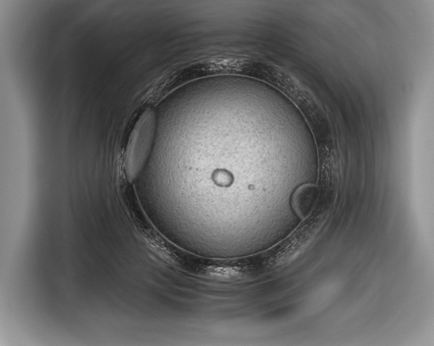 X0000116640649200912211004