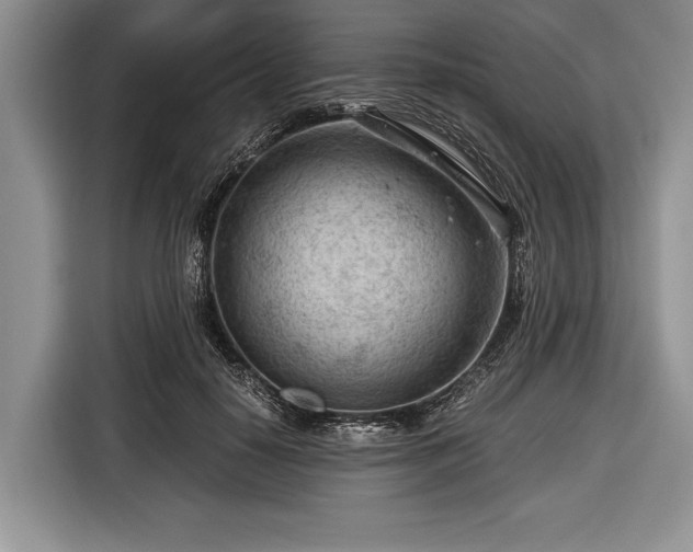 X0000116640650200912211004