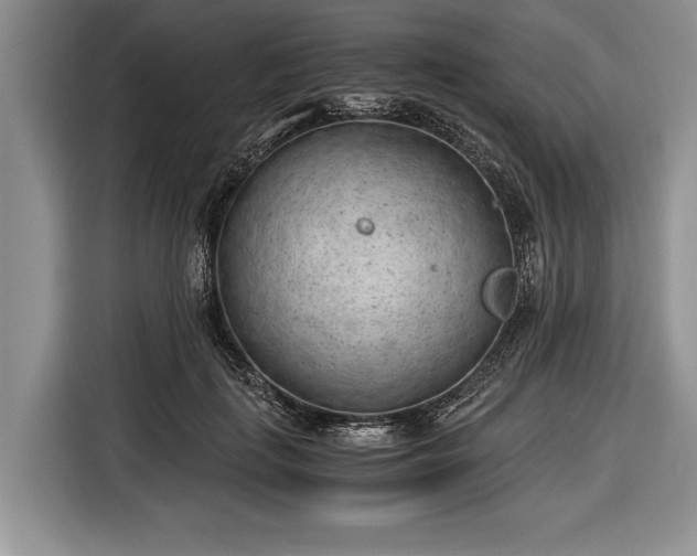 X0000116640651200912211004