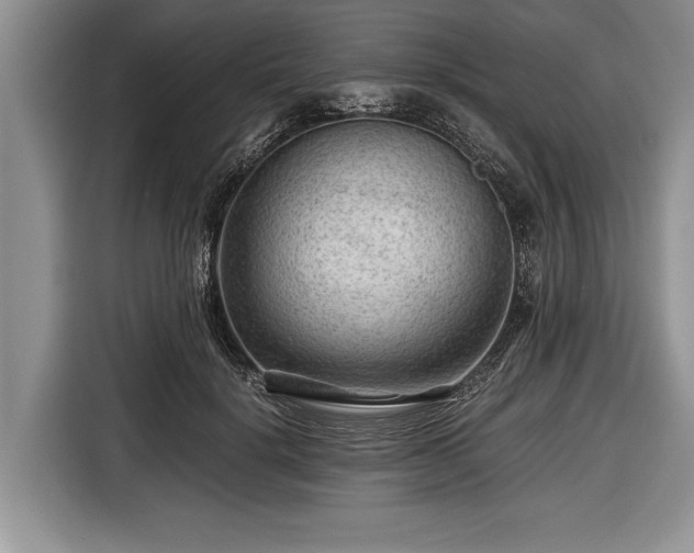 X0000116640652200912211004