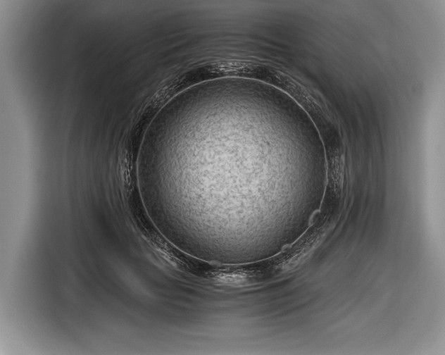 X0000116640653200912211004