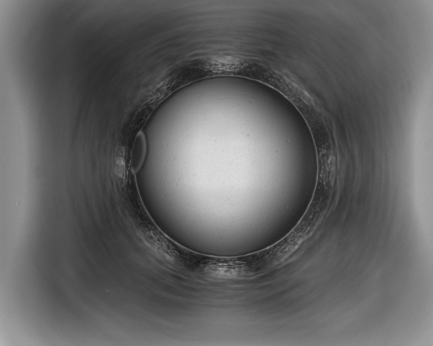 X0000116640655200912211004