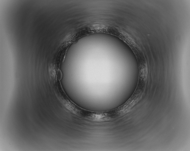 X0000116640662200912211004