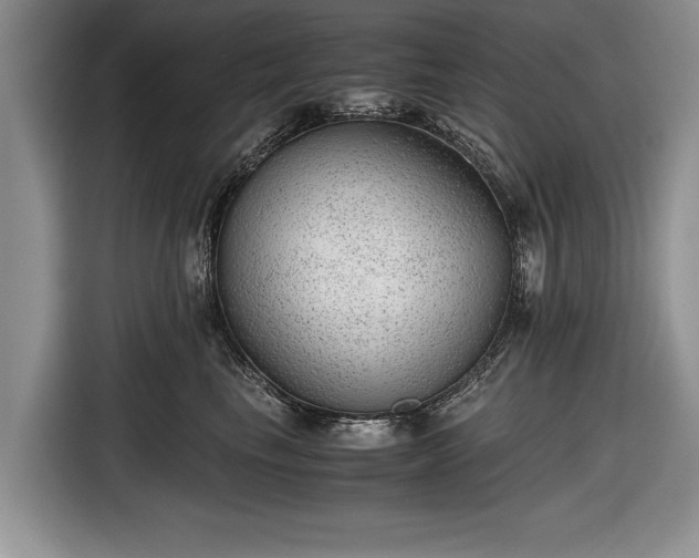 X0000116640665200912211004