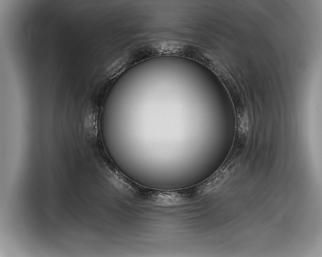 X0000116640666200912211004