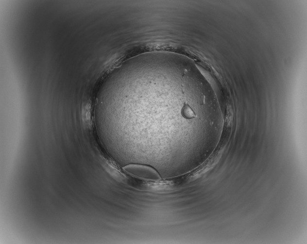 X0000116640670200912211004