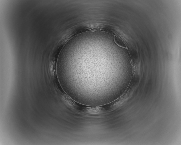 X0000116640671200912211004