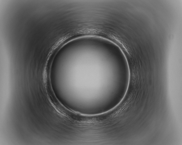 X0000116640674200912211003