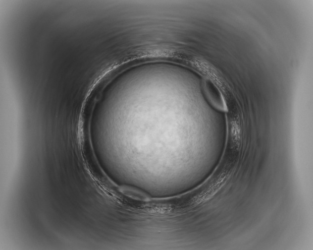 X0000116640676200912211003