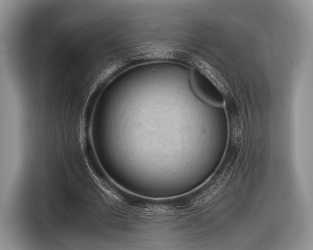 X0000116640677200912211003