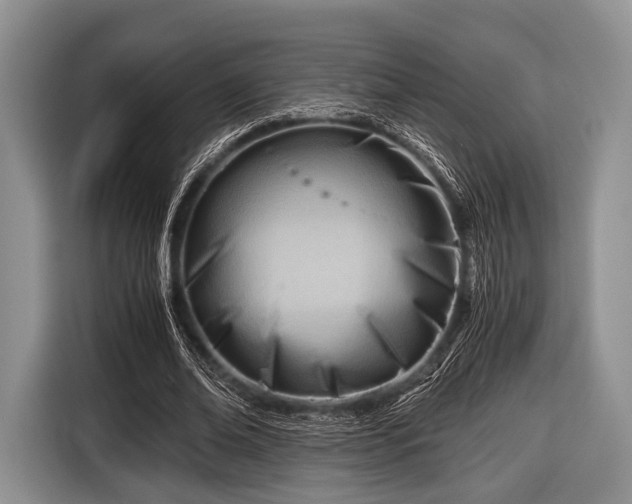 X0000116640678200912211003