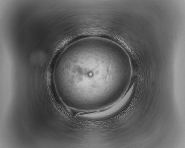 X0000116640679200912211003