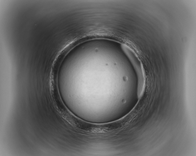 X0000116640680200912211003