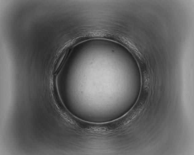 X0000116640681200912211003