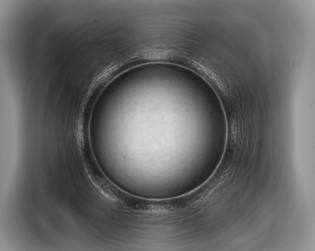 X0000116640682200912211003